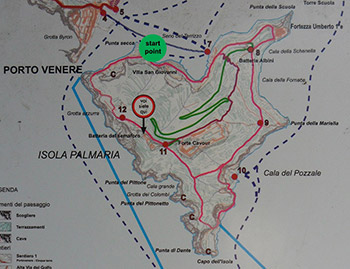 Map of hiking trails of Palmaria Island