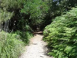 click to zoom A walk around the island of Palmaria, Porto Venere